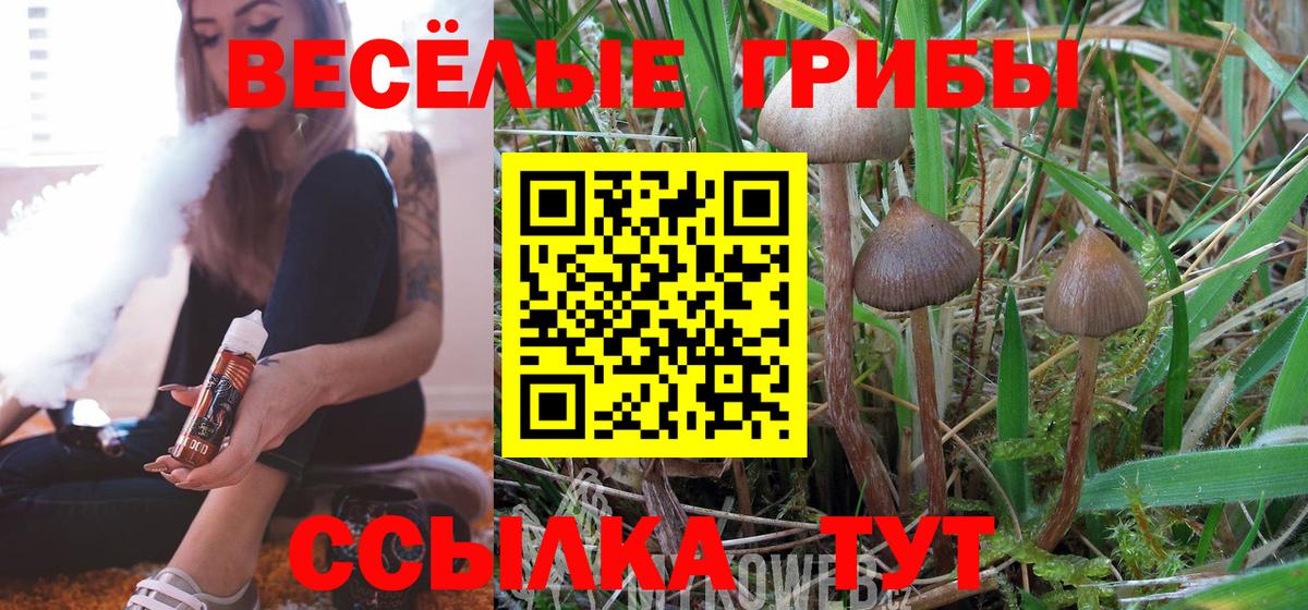где купить   Вход с VPN  Гай  Псилоцибиновые грибы ЛСД 